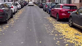 Public Walk and Flashing in Lingerie and Stockings