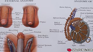 Evie Christian studying the reproductive system