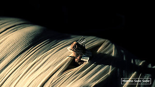 Medical Play Fun, Mummification, Needle CBT and Electro