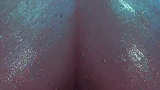 Black Cat Rides Big Dick in Her Room - Moaning Wet Ass Shake 3D Animation