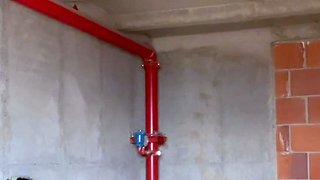 Shhh! Exhibitionist caught touching herself in public