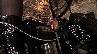 Mature brunette hookup amateur milf gives blowjob