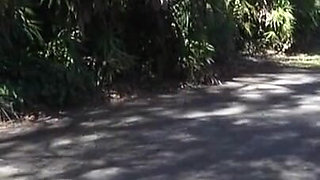 Stepfather's weakness