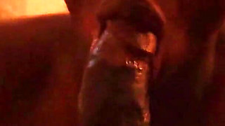 Valentines Day Moments at the Hotel