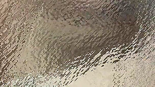 Business Tour with Boss