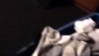 My Girlfriend and Me