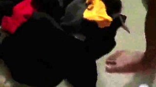 Amateur Asian Girl With Small Tits