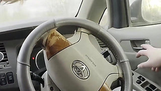 Beauty Girl Crempie After Anal Car Sex