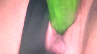 Cucumber Planting Lesson