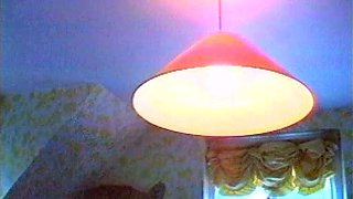 Busty big cock aficionado teen amateur fucked