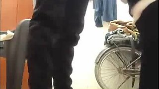 Magnificent Indian Mal Displays and tearing up