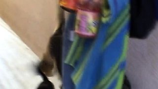 Big Hole Free Amateur Webcam Porn Video Masturbation Camsex