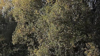 German Scout - Petite Latina Teen Priscila Belini with Perfect Tits Pick up for Casting Fuck