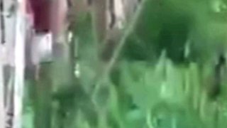 Spying blonde hooker fucking in the woods