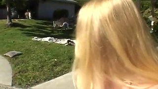 Camera Man - Estelles Dream Come True