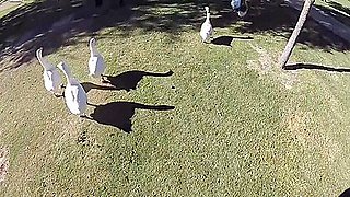 Mason Lear And Fx Rios - Eating And F**king In The Park