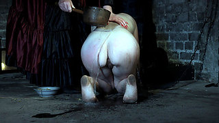 The Countess's Dog Is Fed and Dragged Across the Dungeon Floor