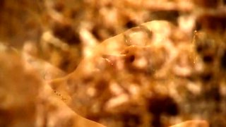 Kuchipudi Dance Leads to Passion