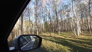 In the Forest on a Car