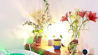 Humping, Dominating and Pee an Inflatable Crocodrile