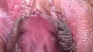 Curvy Beauty with Graceful Waist and Confidence Charms as Passion Surges Into Bliss Bonus Scene