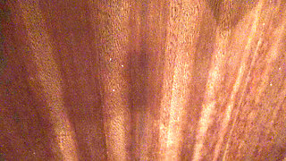 Stepmom Pisses From Her Hairy Pussy and Lets Me Cum on Her Saggy Tits