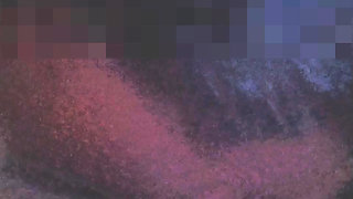 Licking Eating Vagina