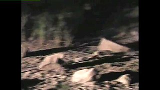 Texas Dildo Masquerade #1 - Tabitha Stevens & Randi Storm in Hot Anal Blowjob Parody with Big Tits and Cumshot