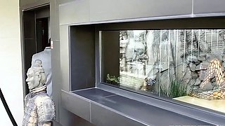 Alexa Tomas Gets Dominated By Two Hard Cocks