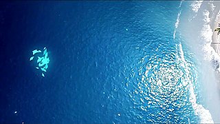 Ocean's romantic dirt by 3DXPassion