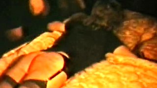 Amateur femdom fetish bitches