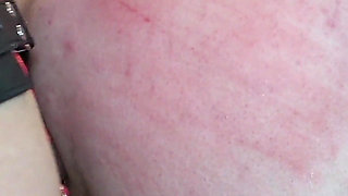 The House Wifes Bitch