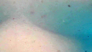 Breasts in the Pool