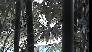 Young asian chick takes huge cock in her mouth