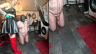 Your Testicles Must Endure Suffering for Your Mistress!