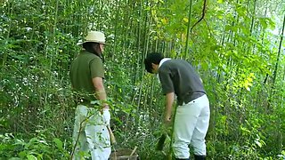 263-season-ending-who-sfs