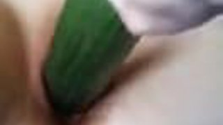 cucumber pussy fuck insertion