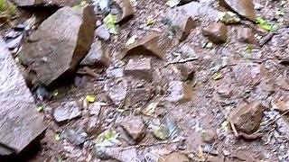 Extreme amateur pov blowjob by hot brunette latina