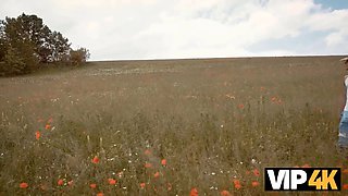 Vip4k. city shaft, country girls