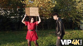 Exquisite bedmate's shame action