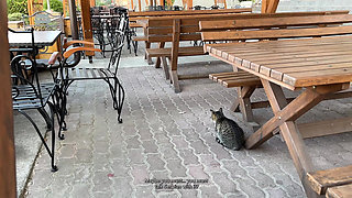 First Time Sucking Dick in Another Country. Does It Taste Different?