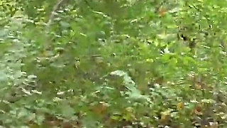 The Slave Bastards Destroyed in The Forest