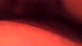 BBW Alley Cat Gets a Wet Creampie From Will