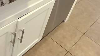 Kitchen Fucking with Celestina Before Dinner