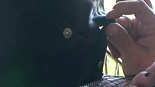 German femdome - Slave blowjob