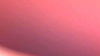 POV Gali Diva Mexican