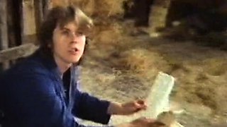 Die Rammelkiste -Love Video-