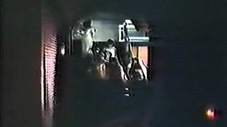 Amateur Couple Free Hardcore Porn Video