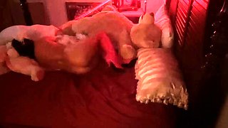 Amateur Doggystyle Hidden Cam