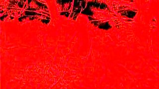 Titus Steel In Crazy Dirty Sex In A Wild Beach